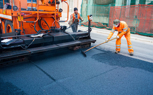 Best Decorative Concrete Driveways  in Meadows Place, TX